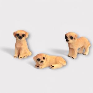3 st Labrador valpar