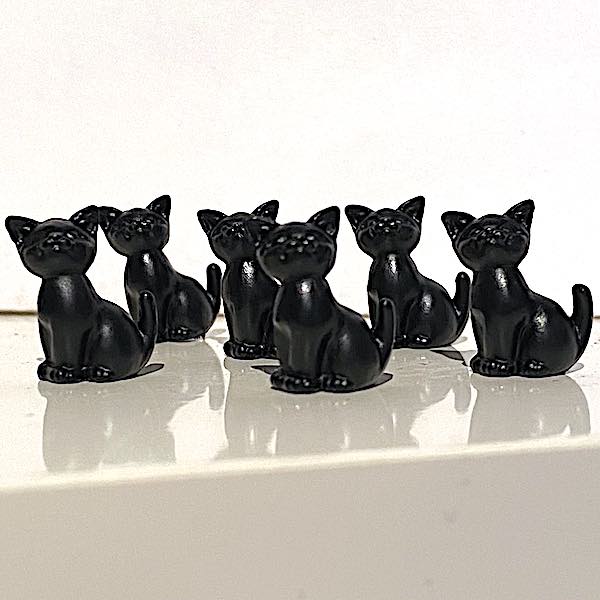 6 st svarta kattungar katter sittande