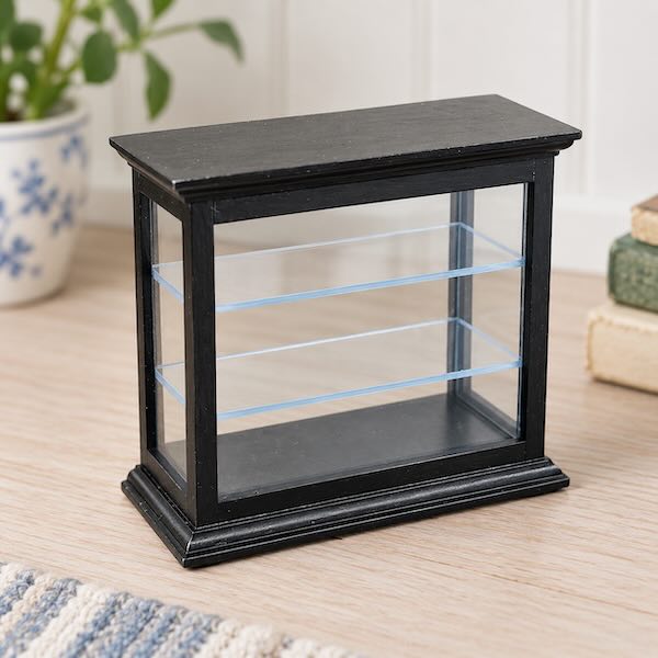 Butikshylla vitrin display svart