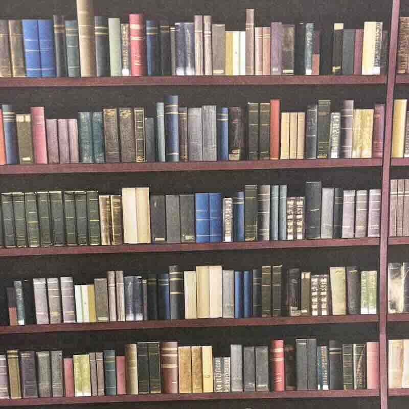 Tapet bibliotek Traditional library shelves