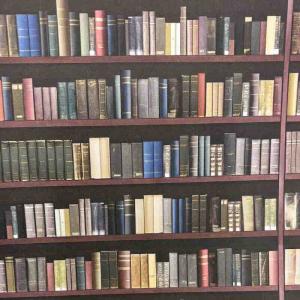 Tapet bibliotek Traditional library shelves