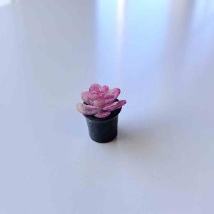 Fetblad pink krukväxt