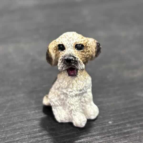 Hundvalp foxterrier