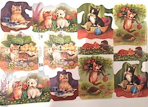 Bokmärken Katter kattungar hundar