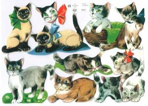 Bokmärken katter lekfulla