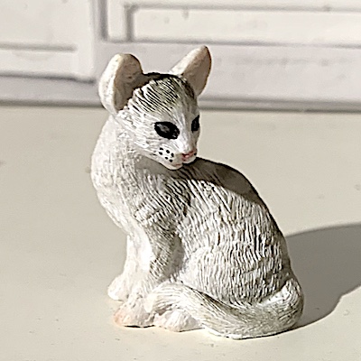 Katt siames vit randig