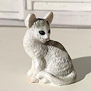 Katt siames vit randig