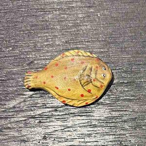 Rödspätta plattfisk fisk