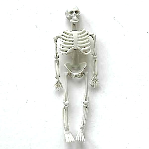 Skelett 14,5 cm