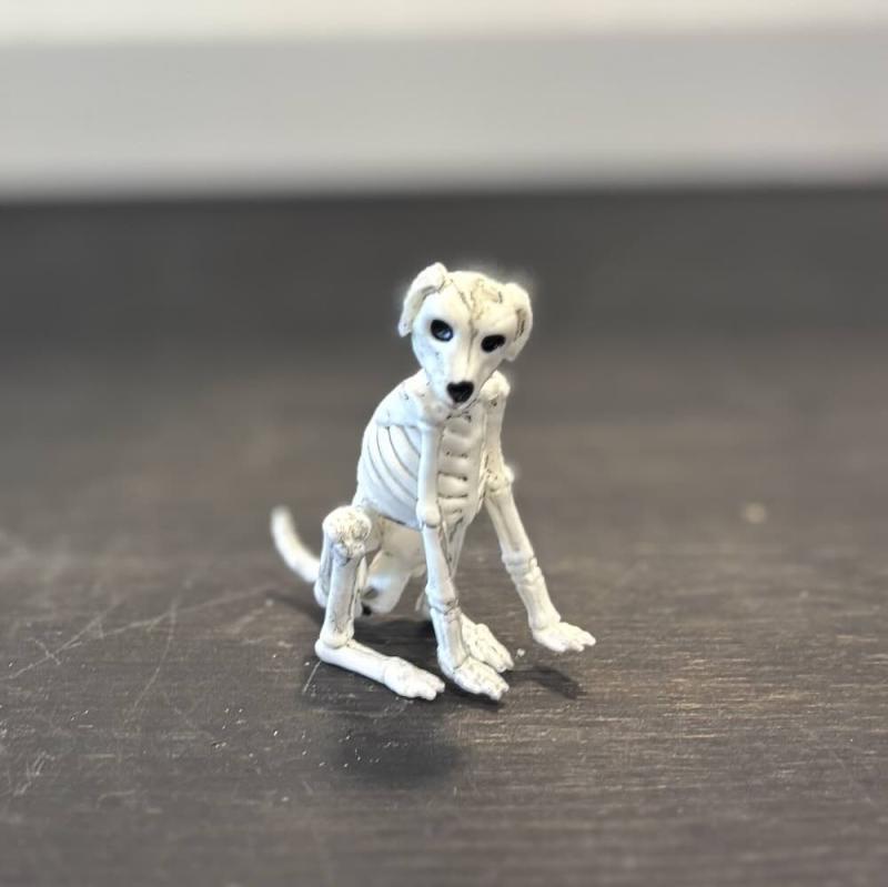 Spökhund skelett