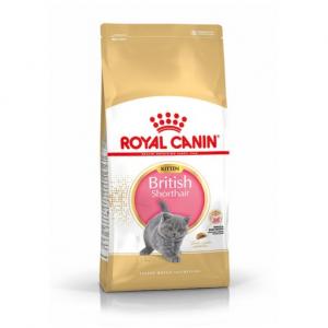 Royal Canin British Shorthair Kitten