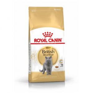 Royal Canin British Shorthair Adult