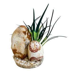 Plastväxt Rainbow Stone Plant 15 cm, Sydeco