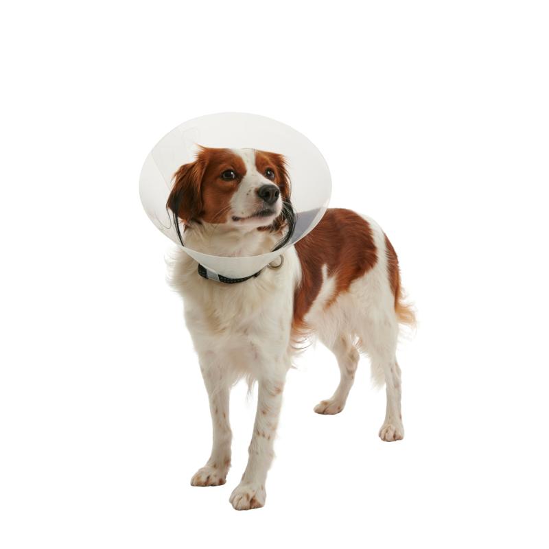 Buster Hundkrage Clic