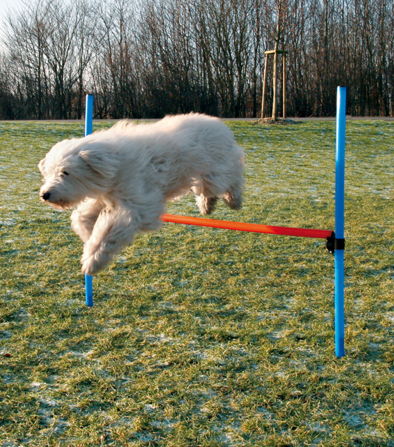 Agility Hopphinder plast 123 x 115 cm