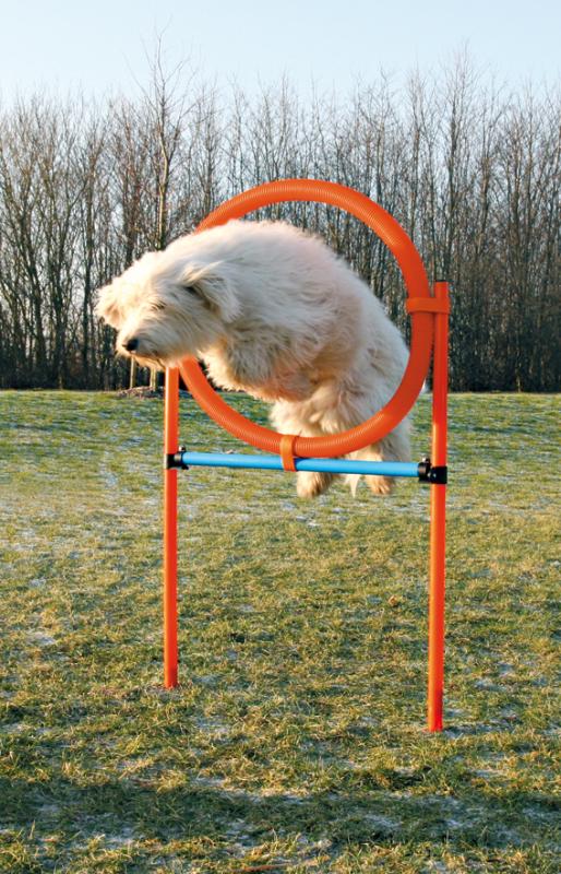 Agility Hoppring Plast 78 x 65 x 115 cm