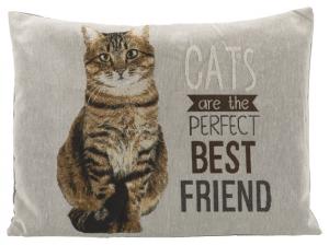 Chipo dyna katt, 60 x 48 cm, grå