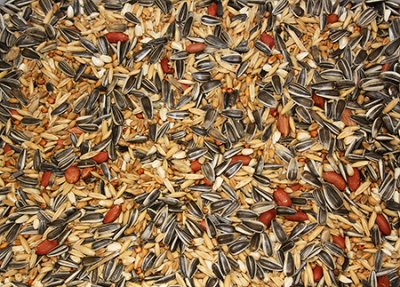 Vildfågelblandning 1 kg