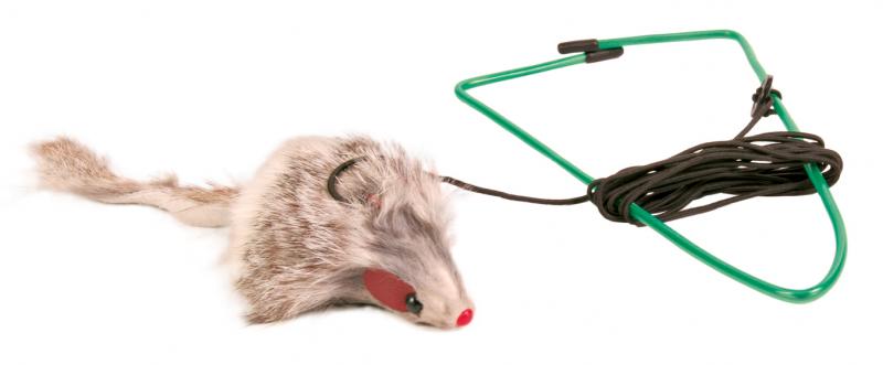 Kattleksak Plyschmus 8 cm för dörrkarm 1,75 m