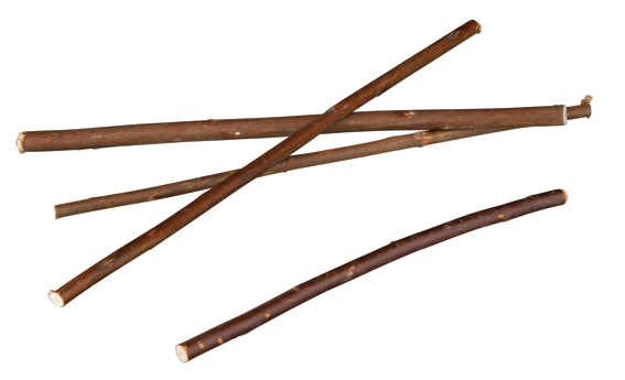 Pilkvistar 18 cm, 20 st