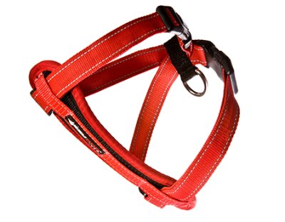 EzyDog Sele/Bilsele Röd