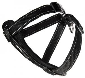 EzyDog Sele/Bilsele Svart