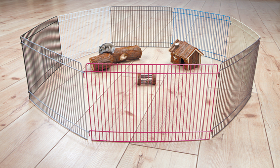 Hage hamster Colours 8 sektioner 33x23 cm, Trixie