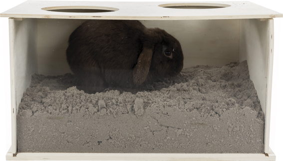 Grävlåda med plexifront för kanin, 58 x 30 x 38 cm