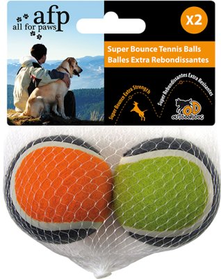 Outdoor Super Bounce tennisboll 2-pack