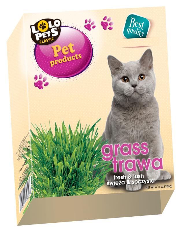 Kattgräs i sålåda 100 g, Lolo