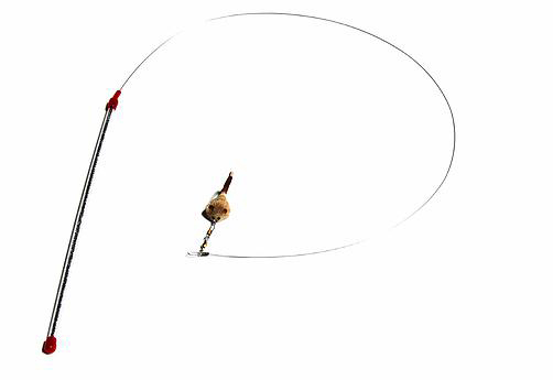 Cat Catcher kattspö