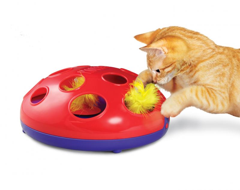 KONG Cat Glide'n Seek