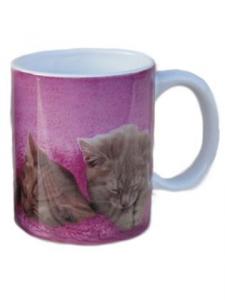 Porslinsmugg kattungar