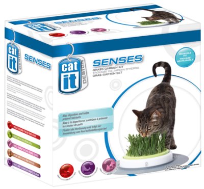 Catit Senses Grass Garden Kit