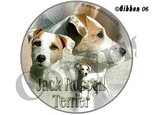 Dekal rund Jack Russel Terrier