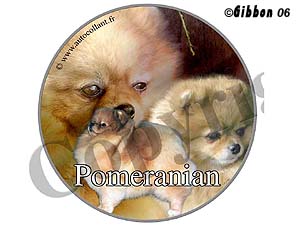 Dekal rund Pomeranian