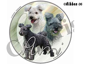 Dekal rund Pumi