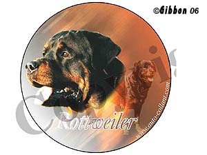 Dekal rund Rottweiler