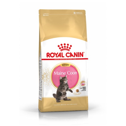 Royal Canin Maine Coon Kitten