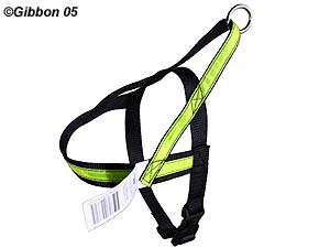 Alac sele Bright Stripe