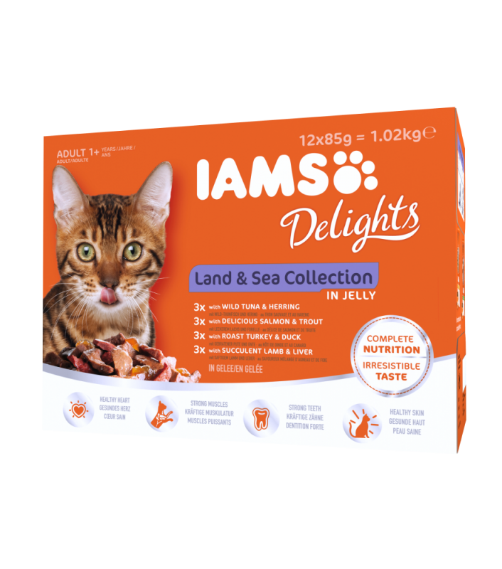 Iams Delights in jelly Multipack Land & Sea 12x85 g