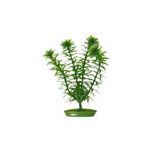 Plastväxt Anacharis 20 cm