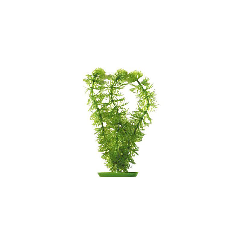 Plastväxt Hornwort 20 cm