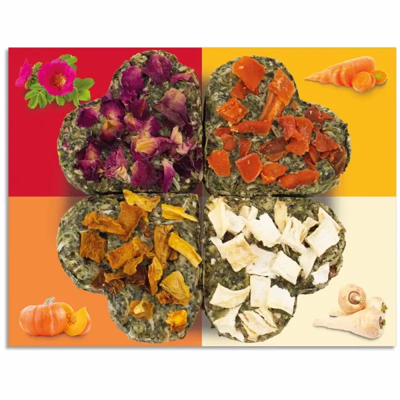 JR Farm Grainless Luck-Quartet 60 g