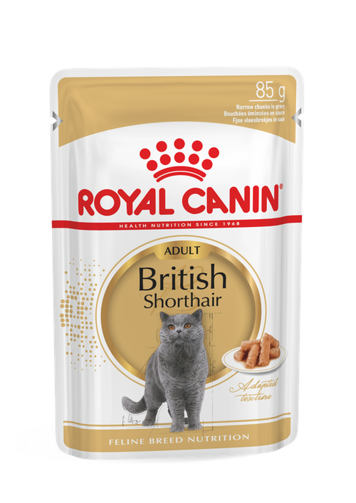 Royal Canin WET British Shorthair