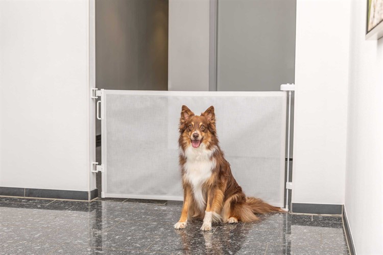 Rullbarriär, utdragbar 0-137 x 86 cm