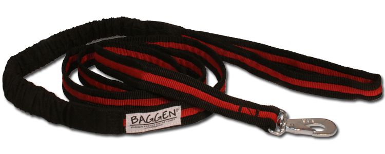 Baggen Expanderkoppel