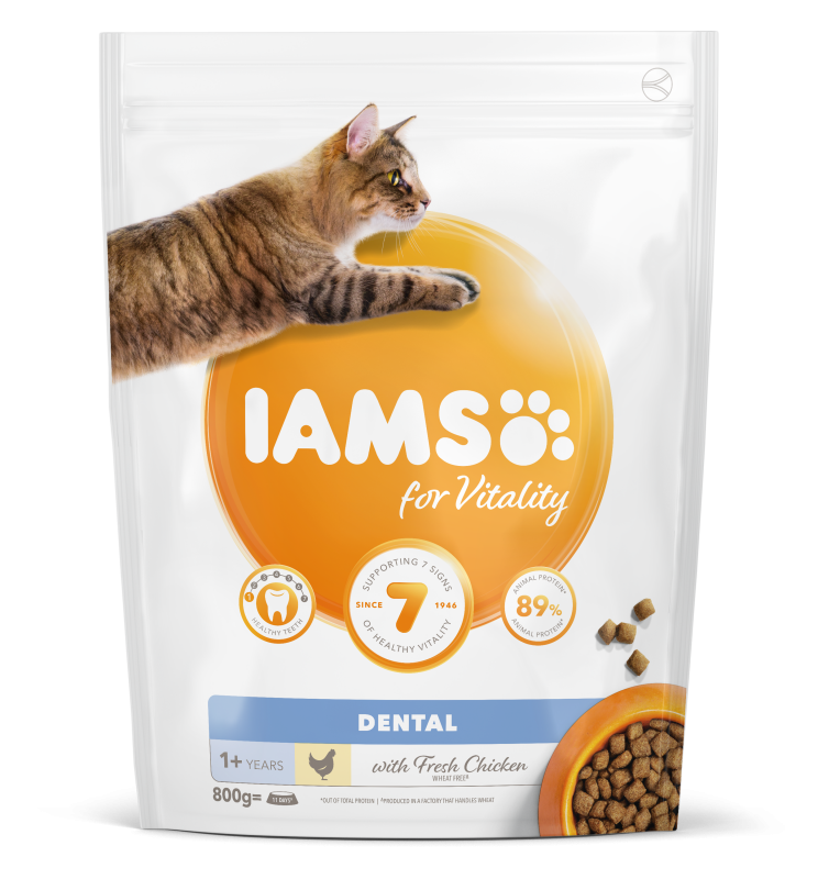 Iams Cat Adult Dental