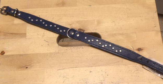 Halsband läder blått med strass 42 cm