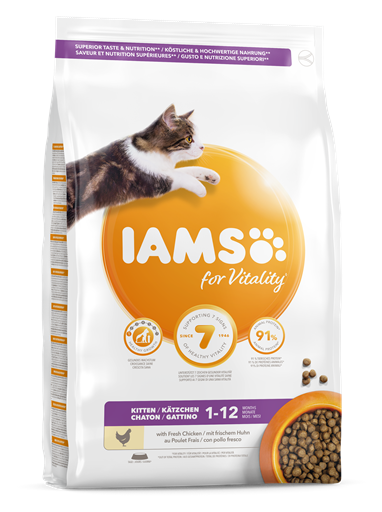 Iams Cat Kitten